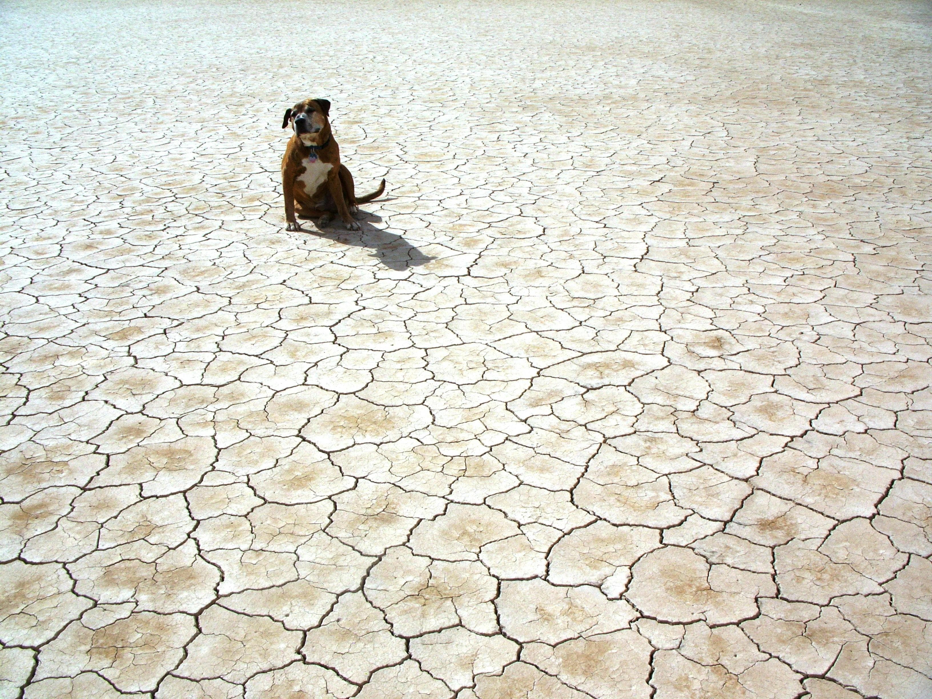 Drought conditions affecting agriculture